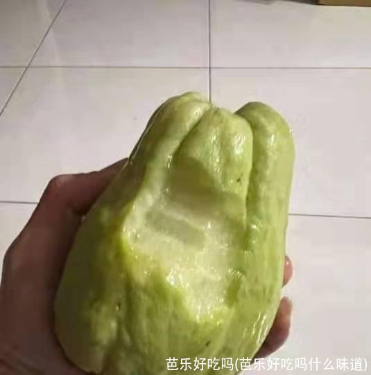 芭乐好吃吗(芭乐好吃吗什么味道)