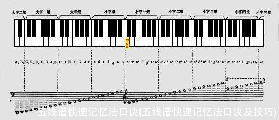 五线谱快速记忆法口诀(五线谱快速记忆法口诀及技巧)