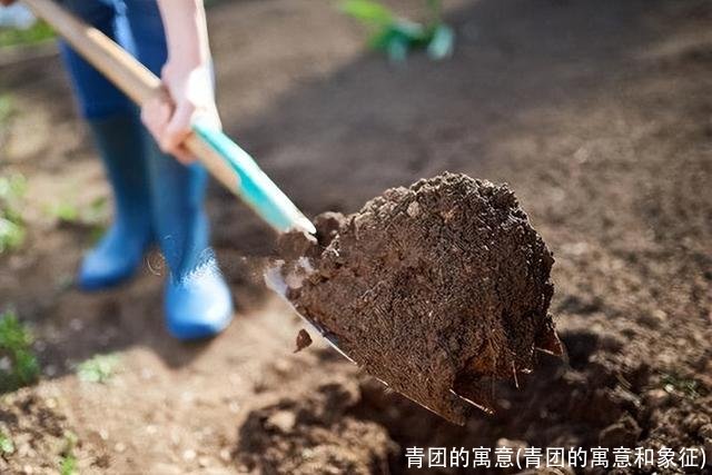 青团的寓意(青团的寓意和象征)