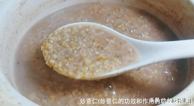 炒薏仁(炒薏仁的功效和作用的功效与作用)