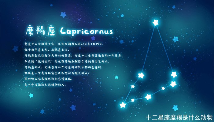 十二星座摩羯是什么动物