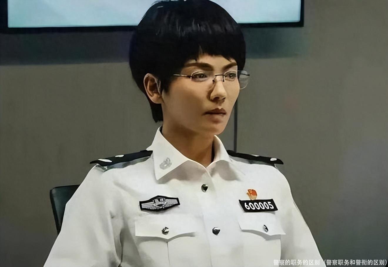 警察的职务的区别(警察职务和警衔的区别)