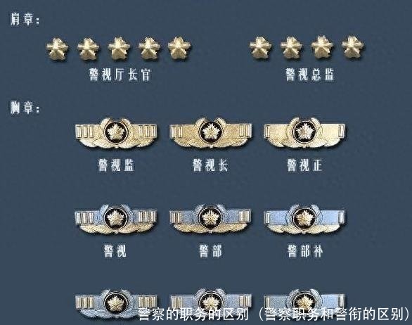 警察的职务的区别(警察职务和警衔的区别)