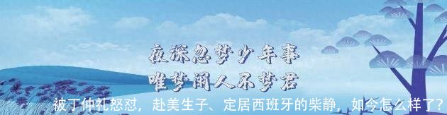 被丁仲礼怒怼，赴美生子、定居西班牙的柴静，如今怎么样了？