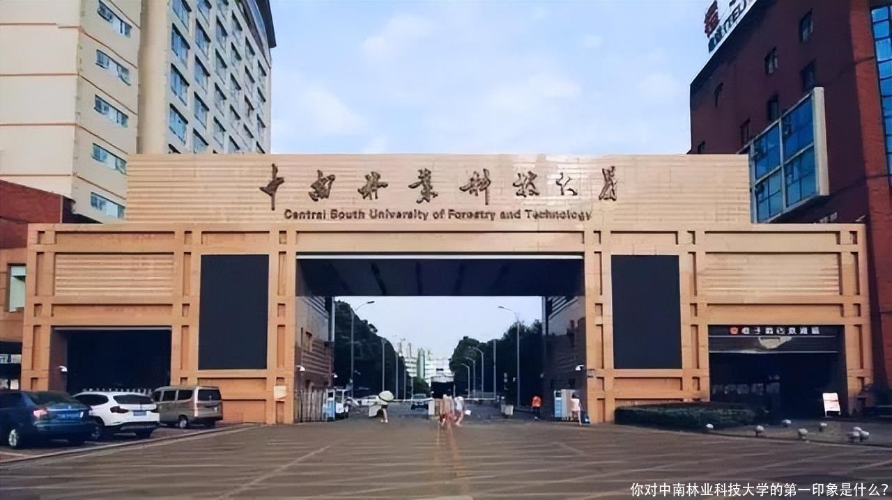 你对中南林业科技大学的第一印象是什么？