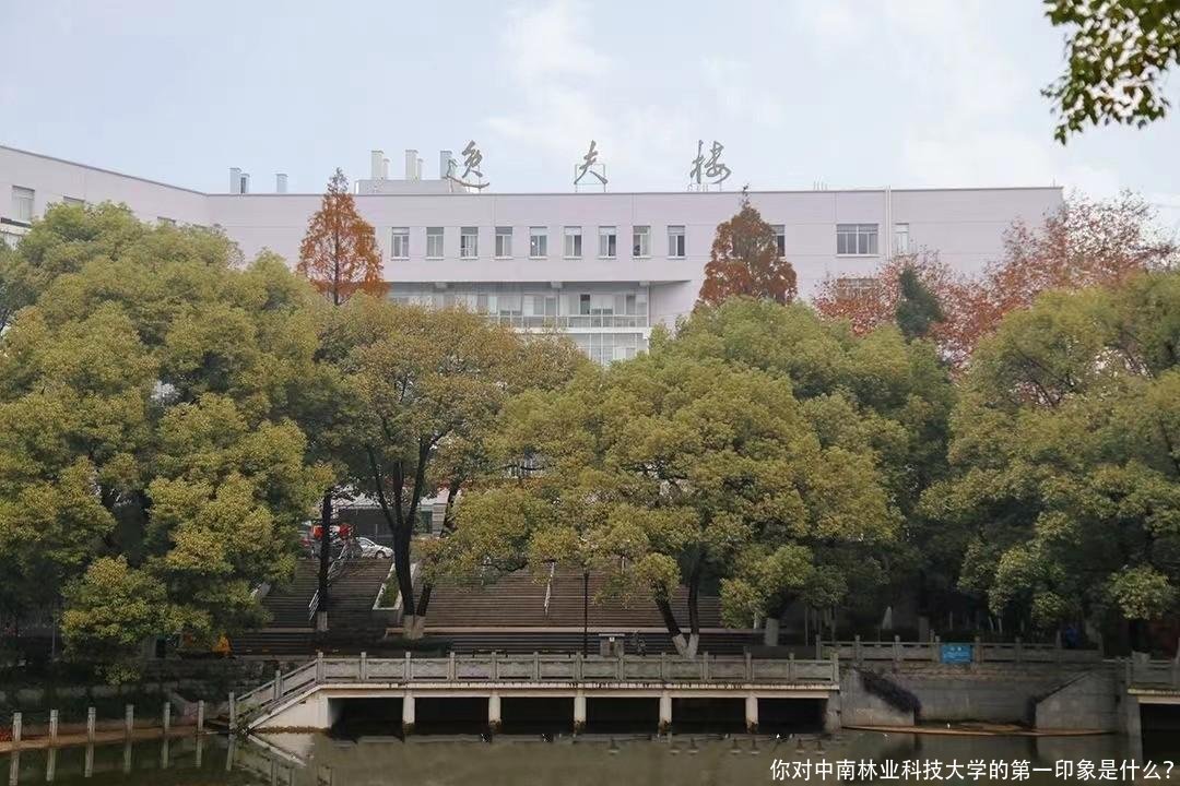 你对中南林业科技大学的第一印象是什么？