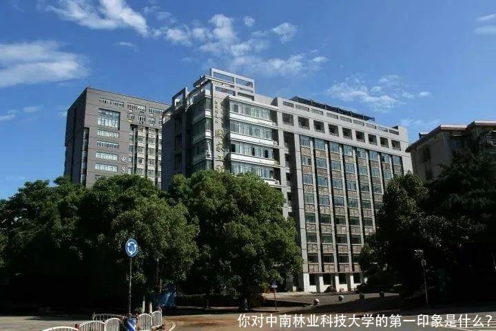 你对中南林业科技大学的第一印象是什么？