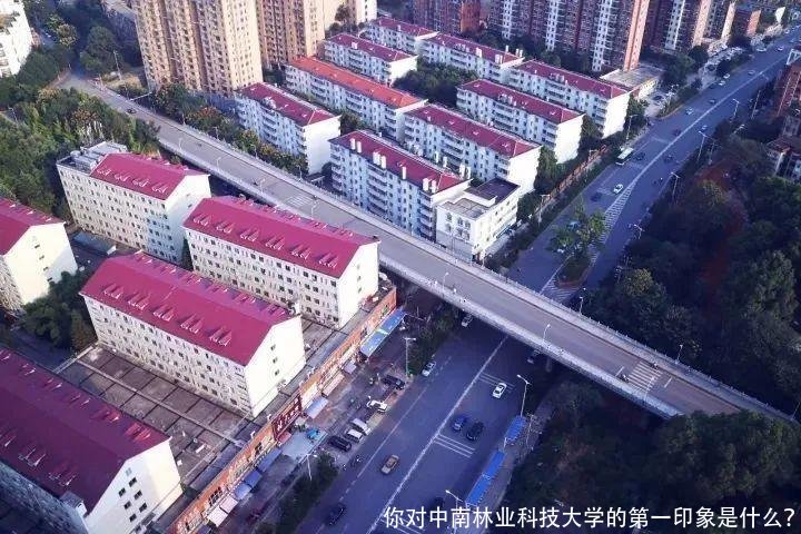 你对中南林业科技大学的第一印象是什么？